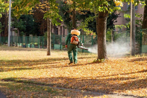 Best Pest Control for Restaurants  in Kent Estates, IA