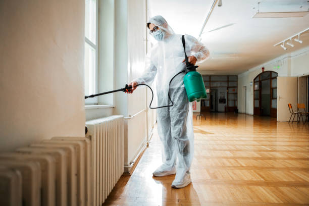Best Flea Control Services  in Kent Estates, IA