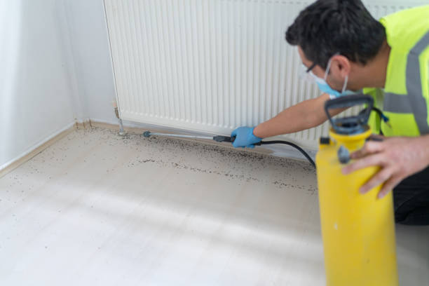 Best Pest Inspection Near Me  in Kent Estates, IA